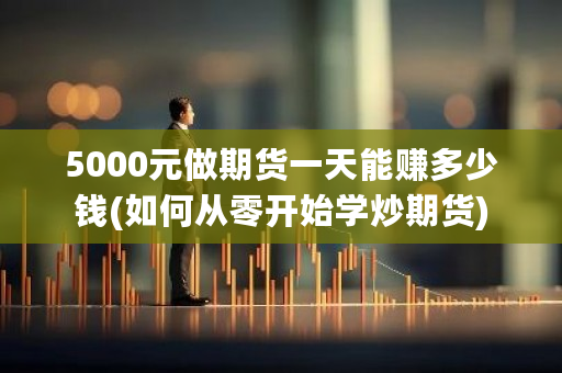 5000元做期货一天能赚多少钱(如何从零开始学炒期货)-**张图片-ZBLOG