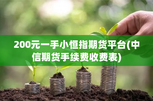 200元一手小恒指期货平台(中信期货手续费收费表)-**张图片-ZBLOG