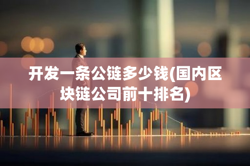 开发一条公链多少钱(**区块链公司前十排名)-**张图片-ZBLOG
