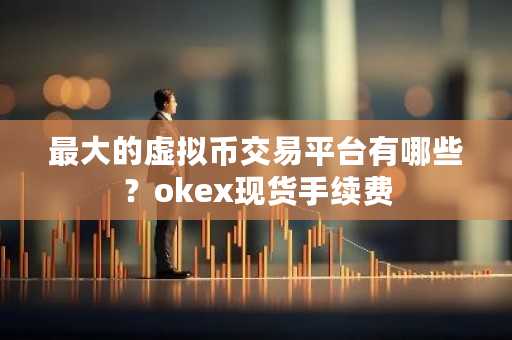 **的虚拟币交易平台有哪些？okex现货手续费-**张图片-ZBLOG