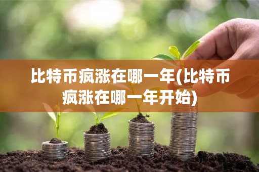 比特币疯涨在哪一年(比特币疯涨在哪一年开始)-**张图片-ZBLOG