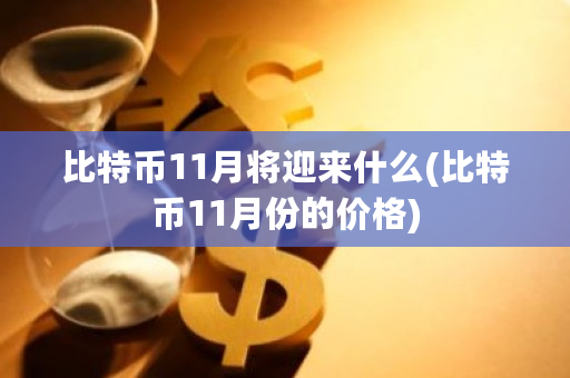 比特币11月将迎来什么(比特币11月份的价格)-**张图片-ZBLOG