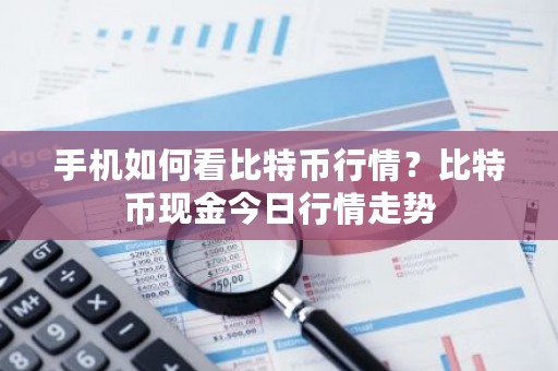手机如何看比特币行情？比特币现金今日行情走势-**张图片-ZBLOG