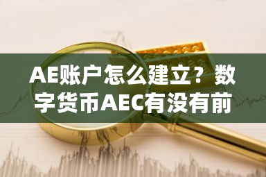 AE账户怎么建立?数字货币AEC有没有前途-**张图片-ZBLOG AE账户怎么建立?数字货币AEC有没有前途-**张图片-ZBLOG