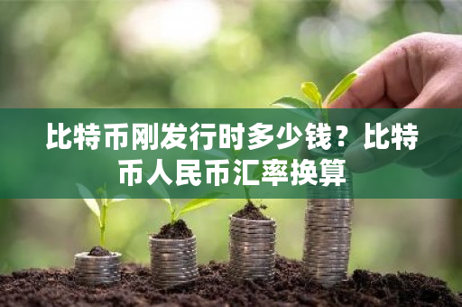 比特币刚发行时多少钱？比特币人民币汇率换算-**张图片-ZBLOG