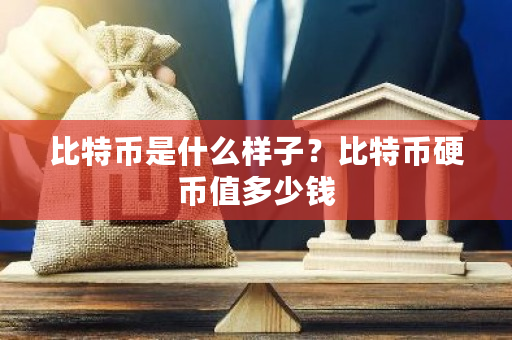 比特币是什么样子？比特币硬币值多少钱-**张图片-ZBLOG