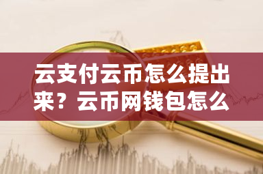 云支付云币怎么提出来？云币网钱包怎么申请退款-**张图片-ZBLOG