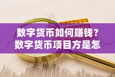 数字货币如何赚钱？数字货币项目方是怎么挣钱呢-**张图片-ZBLOG