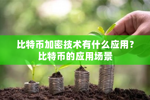 比特币加密技术有什么应用？比特币的应用场景-**张图片-ZBLOG