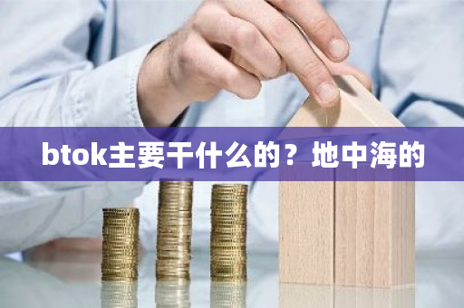 btok主要干什么的？地中海的-**张图片-ZBLOG