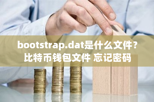 bootstrap.dat是什么文件？比特币钱包文件 忘记密码-**张图片-ZBLOG
