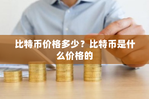 比特币价格多少？比特币是什么价格的-**张图片-ZBLOG