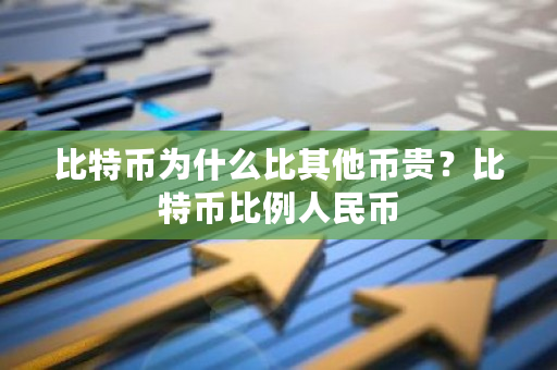 比特币为什么比其他币贵？比特币比例人民币-**张图片-ZBLOG