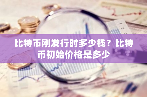 比特币刚发行时多少钱？比特币初始价格是多少-**张图片-ZBLOG