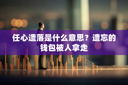 任心遗落是什么意思？遗忘的钱包被人拿走-**张图片-ZBLOG