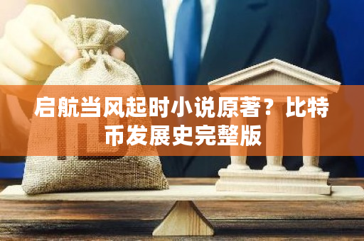 启航当风起时小说原著？比特币发展史完整版-**张图片-ZBLOG