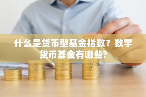 什么是货币型基金指数？数字货币基金有哪些?-**张图片-ZBLOG