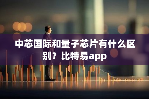 中芯**和量子芯片有什么区别？比特易app-**张图片-ZBLOG