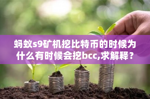 蚂蚁s9矿机挖比特币的时候为什么有时候会挖bcc,求解释？bch怎么挖矿-**张图片-ZBLOG