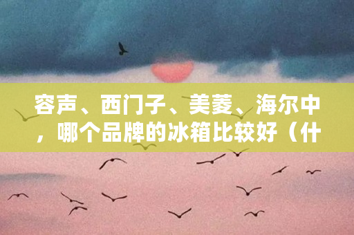 容声、西门子、美菱、海尔中，哪个品牌的冰箱比较好（什么钱包有二类账户）