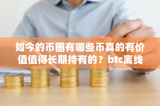 如今的币圈有哪些币真的有价值值得长期持有的？btc离线钱包-**张图片-ZBLOG