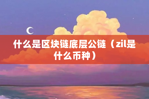 什么是区块链底层公链（zil是什么币种）