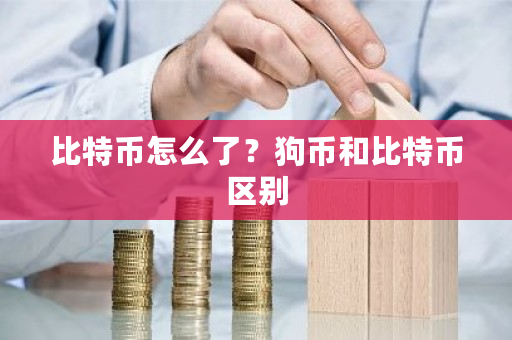 比特币怎么了？狗币和比特币区别-**张图片-ZBLOG