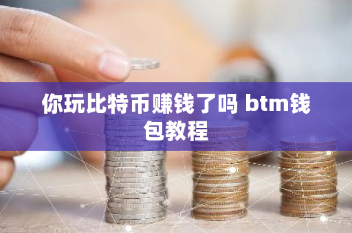 你玩比特币赚钱了吗 btm钱包教程