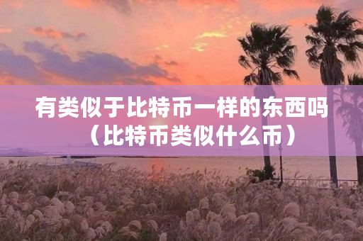 有类似于比特币一样的东西吗（比特币类似什么币）