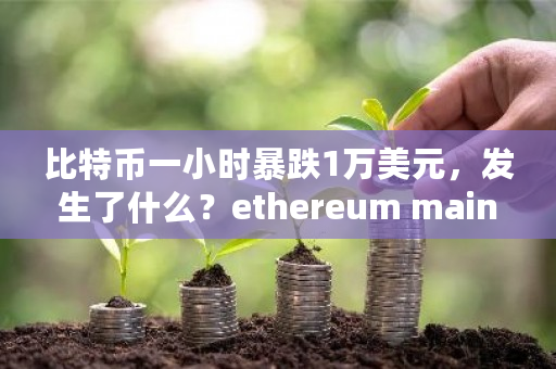 比特币一小时暴跌1万美元，发生了什么？ethereum mainnet钱包-**张图片-ZBLOG