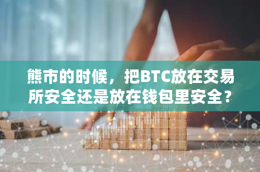 熊市的时候，把BTC放在交易所安全还是放在钱包里安全？对此你怎么看？开源交易钱包安全吗-**张图片-ZBLOG