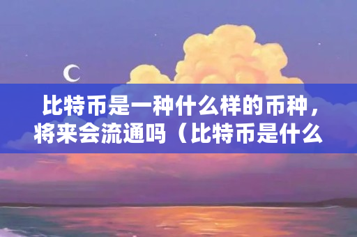 比特币是一种什么样的币种，将来会流通吗（比特币是什么样子的）