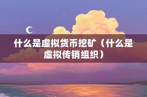 什么是虚拟货币挖矿（什么是虚拟**组织）