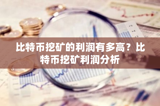 比特币挖矿的利润有多高?比特币挖矿利润分析-**张图片-ZBLOG 比特币挖矿的利润有多高?比特币挖矿利润分析-**张图片-ZBLOG