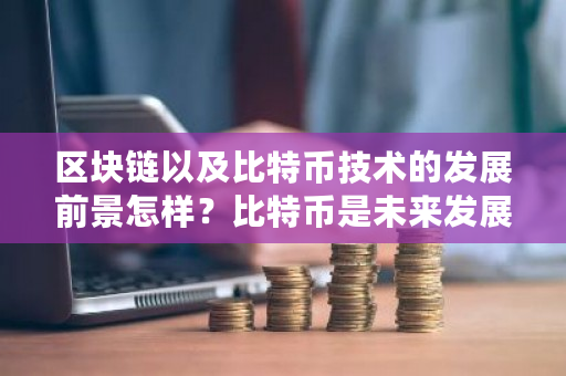区块链以及比特币技术的发展前景怎样？比特币是未来发展趋势吗-**张图片-ZBLOG