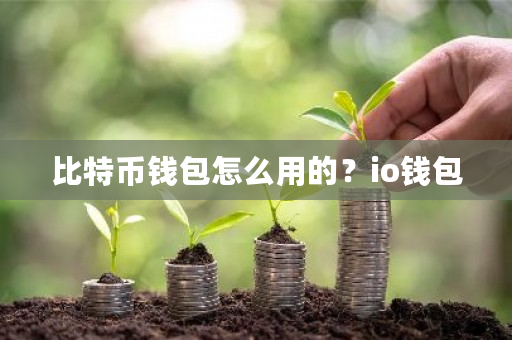 比特币钱包怎么用的?io钱包-**张图片-ZBLOG 比特币钱包怎么用的?io钱包-**张图片-ZBLOG