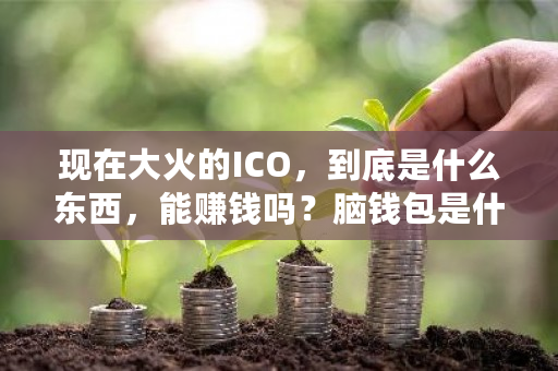 现在大火的ICO，到底是什么东西，能赚钱吗？脑钱包是什么-**张图片-ZBLOG