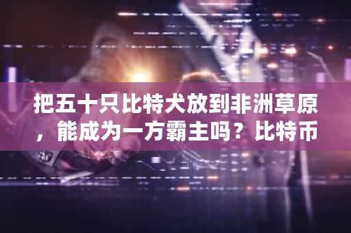 把五十只比特犬放到非洲草原，能成为一方霸主吗？<a href=https://www.globetech.com.cn/news/299313.html target=_blank class=infotextkey>比特币</a>非洲挖矿-**张图片-ZBLOG