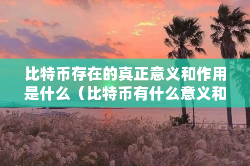 比特币存在的真正意义和作用是什么（比特币有什么意义和价值）