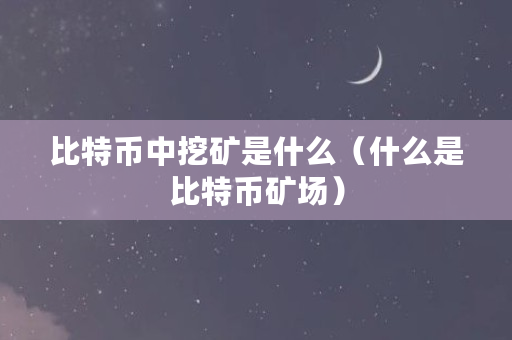 比特币中挖矿是什么（什么是比特币矿场）