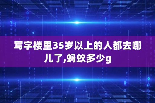 写字楼里35岁以上的人都去哪儿了,蚂蚁多少g