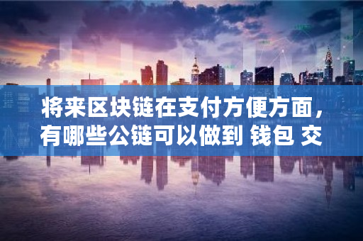 将来区块链在支付方便方面,有哪些公链可以做到 钱包 交易所 将来区块链在支付方便方面,有哪些公链可以做到 钱包 <a href=https://www.globetech.com.cn/news/299028.html target=_blank class=infotextkey>交易所</a>