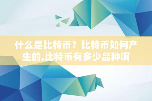 什么是比特币？比特币如何产生的,比特币有多少品种啊