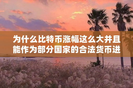 为什么比特币涨幅这么大并且能作为部分**的合法货币进行流通（比特币为什么可以挖出来）