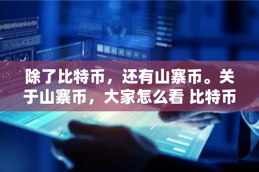 除了比特币，还有山寨币。关于山寨币，大家怎么看 比特币cex是啥意思