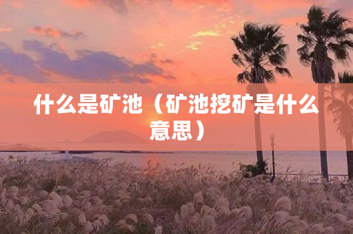 什么是矿池（矿池挖矿是什么意思）