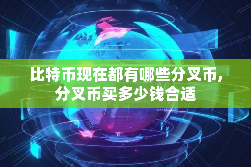 比特币现在都有哪些分叉币,分叉币买多少钱合适