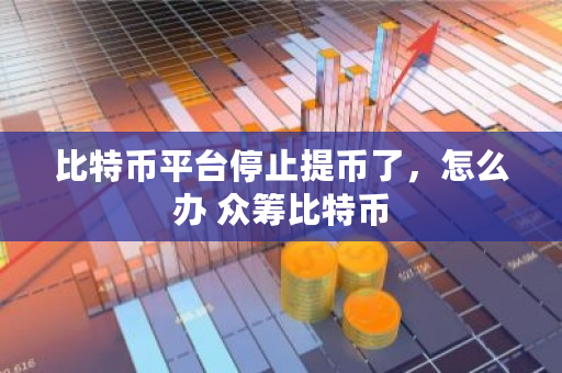 比特币平台停止提币了，怎么办 **比特币