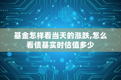 基金怎样看当天的涨跌,怎么看债基实时估值多少
