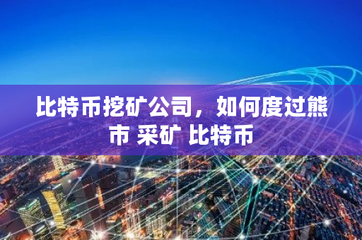 比特币挖矿公司，如何度过熊市 采矿 比特币